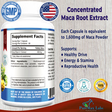 Load image into Gallery viewer, Maca Root Capsules - Concentrated 4:1 Extract (Equivalent to 1,600mg per Capsule) - 60 Capsules
