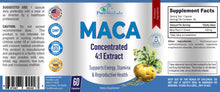 Load image into Gallery viewer, Maca Root Capsules - Concentrated 4:1 Extract (Equivalent to 1,600mg per Capsule) - 60 Capsules
