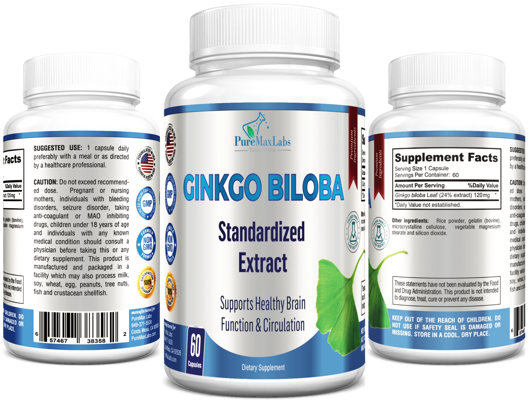 Ginkgo Biloba Capsules - Supports Brain Function & Memory - 60 Capsules