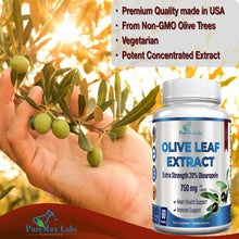 Load image into Gallery viewer, Olive Leaf Extract, Extra Strength 20% Oleuropein - 60 Capsules
